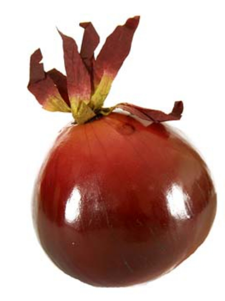 Picture of ONION