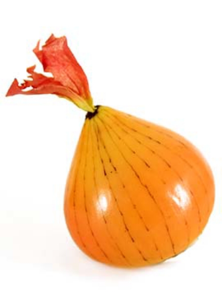 Picture of ONION