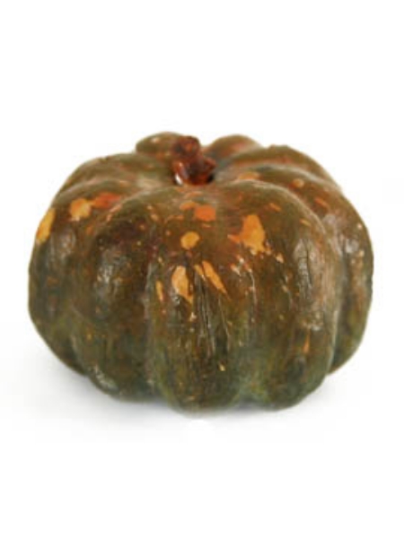 Picture of PUMPKIN