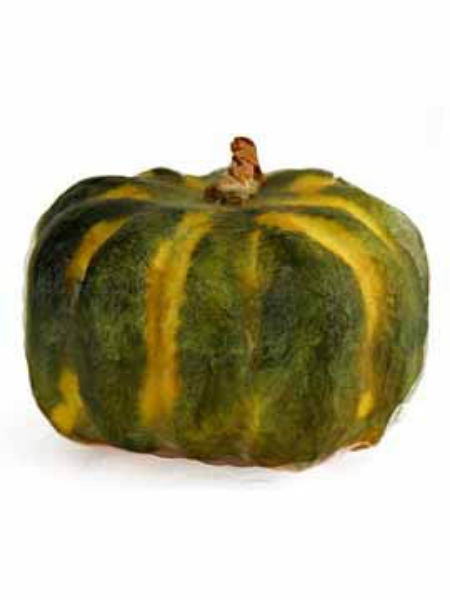 Picture of PUMPKIN