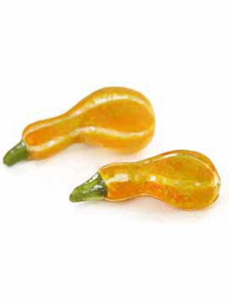 Picture of LONG GOURD (SQUASH)-2PCS