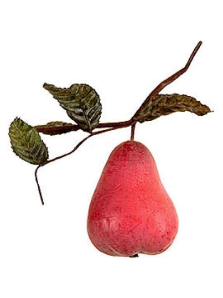 Picture of LG. PEAR PICK