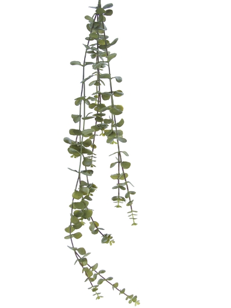 Picture of 33" HANGING SUCCULENT SPRAY