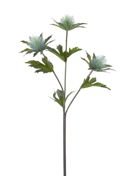 Picture of 23" ERYNGO THISTLE X3