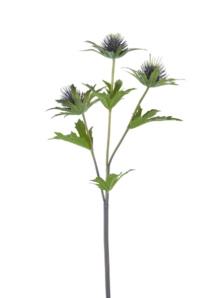 Picture of 23" ERYNGO THISTLE X3