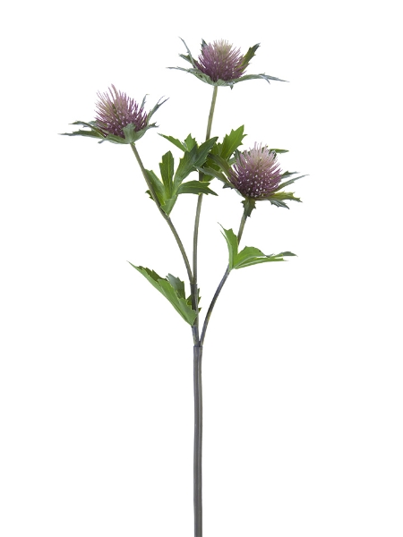 Picture of 23" ERYNGO THISTLE X3