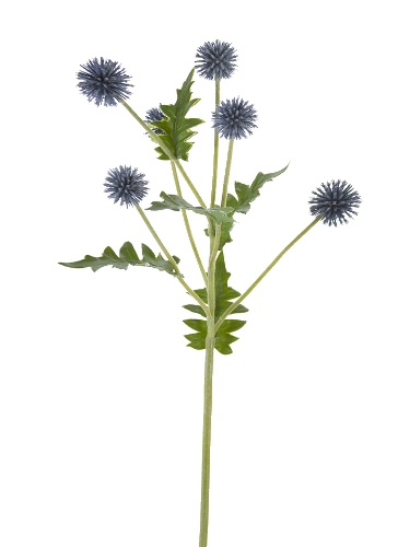 Picture of 25" GLOBE THISTLE SPRAY