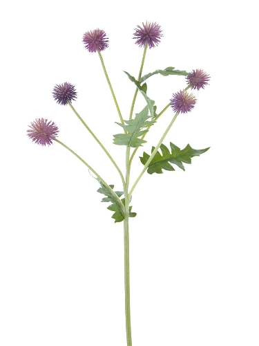 Picture of 25" GLOBE THISTLE SPRAY