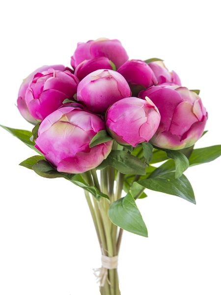 Picture of 12" PEONY BUD BUNDLE X10