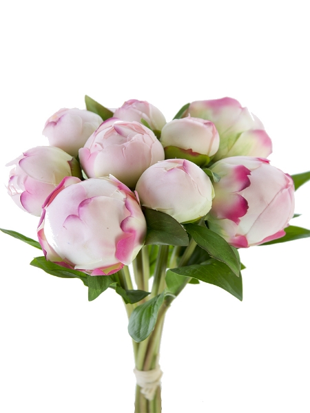 Picture of 12" PEONY BUD BUNDLE X10