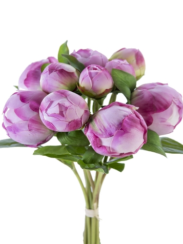 Picture of 12" FRESH TOUCH PEONY BUD BUNDLE X10