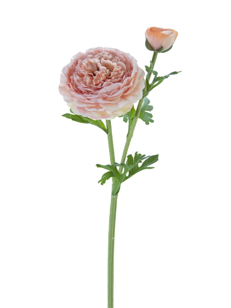 Picture of 22"BUTTER CUP RANUNCULUS SPRAY