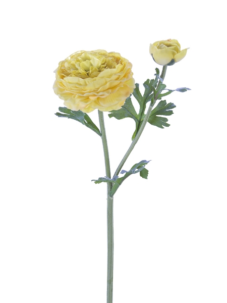 Picture of 22"BUTTER CUP RANUNCULUS SPRAY