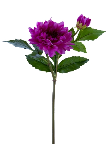 Picture of 21" FRESH TOUCH DAHLIA