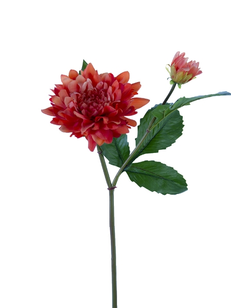 Picture of 21" DAHLIA 1F1B