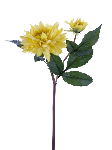 Picture of 21" FRESH TOUCH DAHLIA