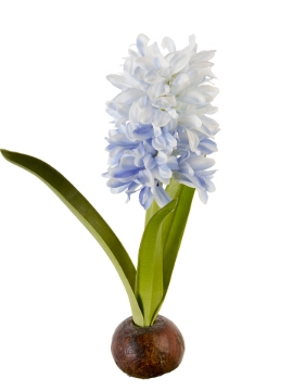 Picture of 13" FRESH TOUCH HYACINTH