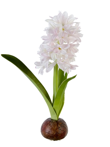 Picture of 13" FRESH TOUCH HYACINTH