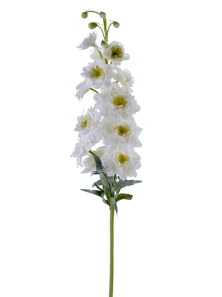 Picture of 33" DELPHINIUM