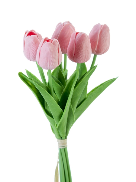 Picture of 12" TULIP STEM X7