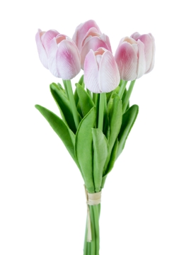 Picture of 12" TULIP STEM X7
