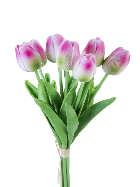 Picture of 12" TULIP STEM X7