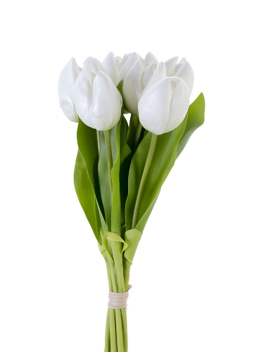 Picture of 17" DUTCH TULIP BUNDLE X8