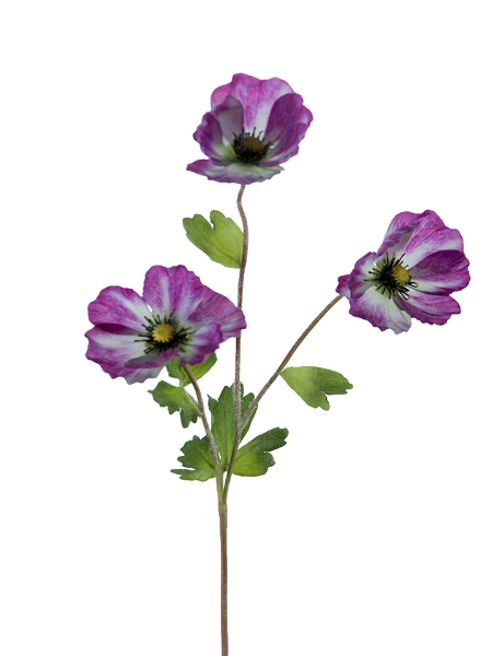 Picture of 27" POPPY SPRAY X3