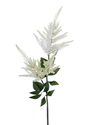 Picture of 34" ASTILBE SPRAY