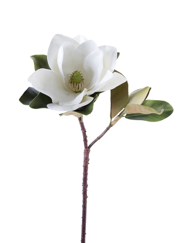 Picture of 32" MAGNOLIA SPRAY