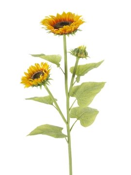 Picture of 42" SUNFLOWER SPRAY