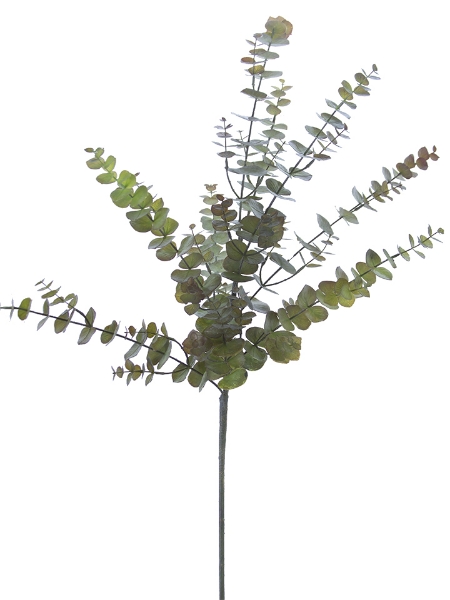 Picture of 44" EUCALYPTUS SPRAY