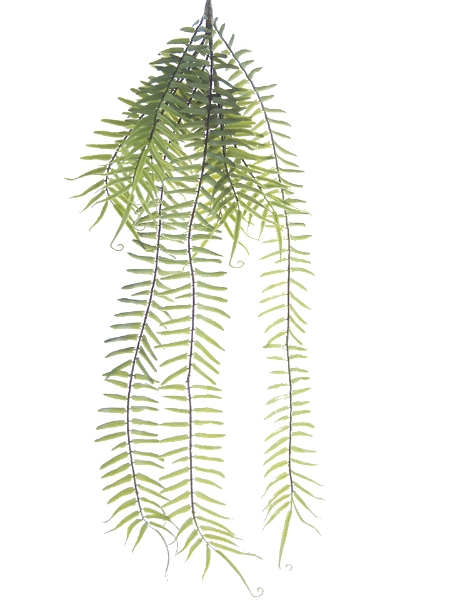 Picture of 31" LONG LF FERN SPRAY