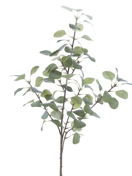 Picture of 45" EUCALYPTUS SPRAY