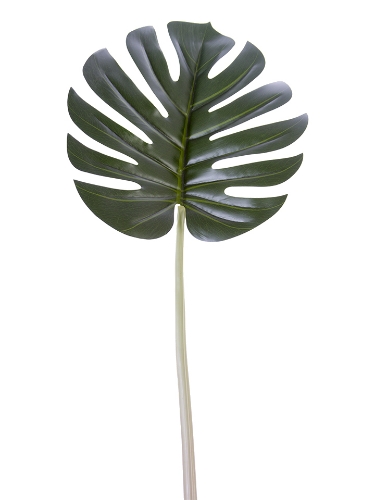 Picture of 40" MONSTERA LEAF