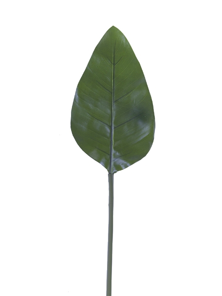 Picture of 32" BIRD OF PARADISE LEAF