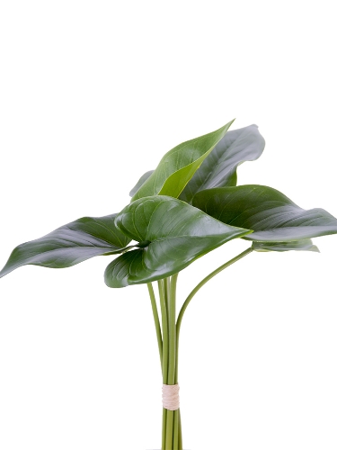 Picture of 16" ANTHURIUM LEAF BUNDLE X6