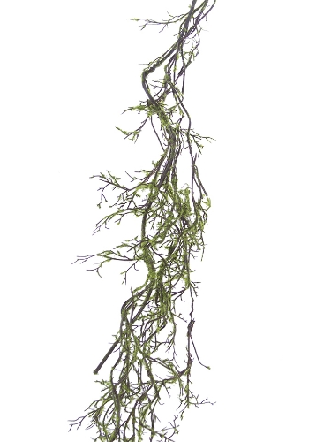 Picture of 5' MOSSY BRANCH VINE
