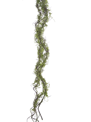 The Mossy Twig