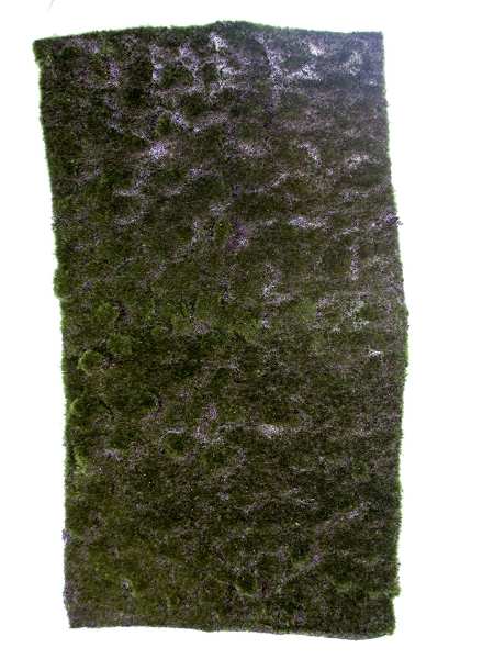 Picture of 40" MOSS SHEET