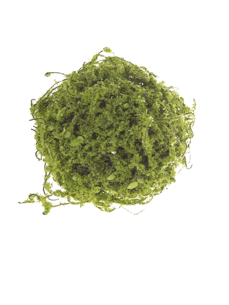 Picture of 6" MOSSY TWIG BALL