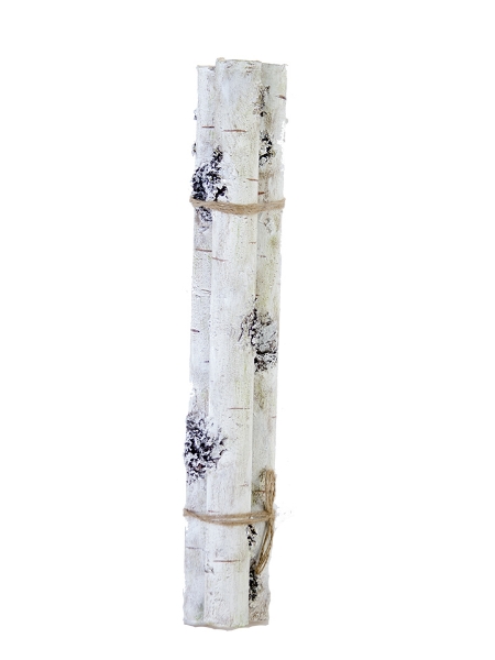 Picture of 22" BIRCH BUNDLE X3