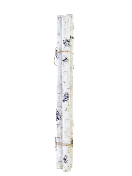 Picture of 34" BIRCH BUNDLE X3