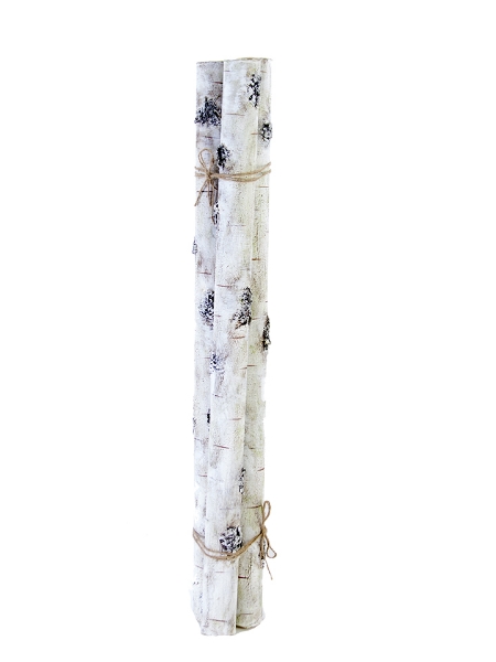 Picture of 36" BIRCH BUNDLE X3