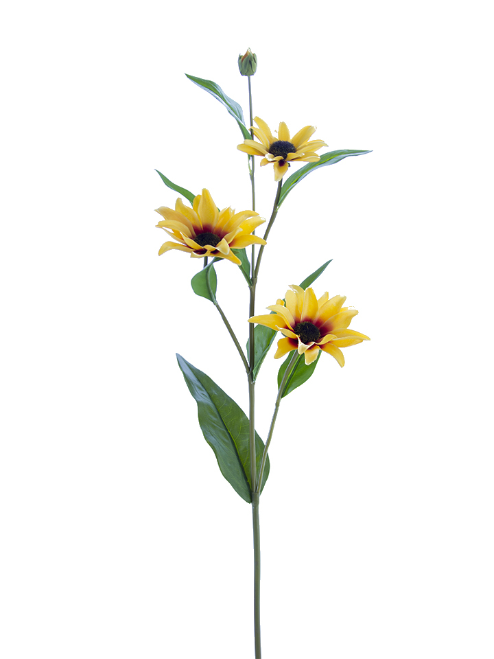 American Best. 31" BLACK EYED SUSAN