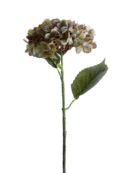 Picture of 22" MOPHEAD HYDRANGEA STEM