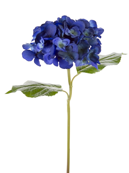 Picture of 22" GRAND HYDRANGEA