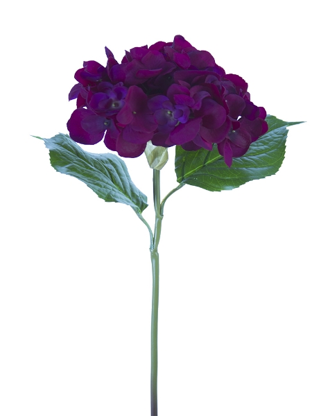 Picture of 22" GRAND HYDRANGEA