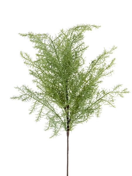 Picture of 27" ROSEMARY SPRAY