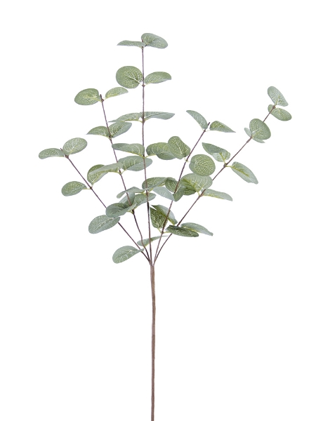 Picture of 26" EUCALYPTUS SPRAY